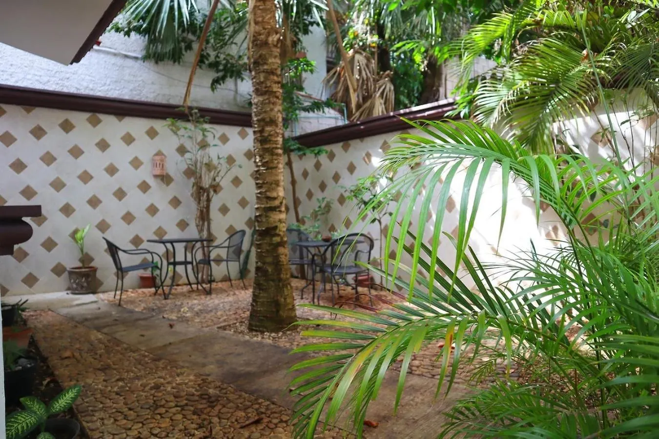 Spacious King Room Near Beach & Quinta 普拉亚卡门 墨西哥