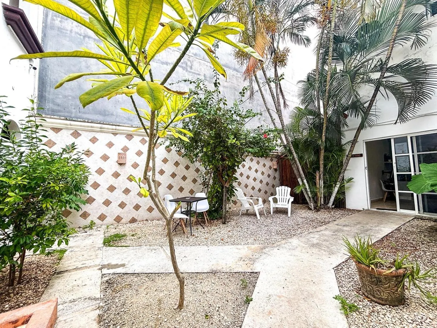 公寓 Spacious King Room Near Beach & Quinta 普拉亚卡门