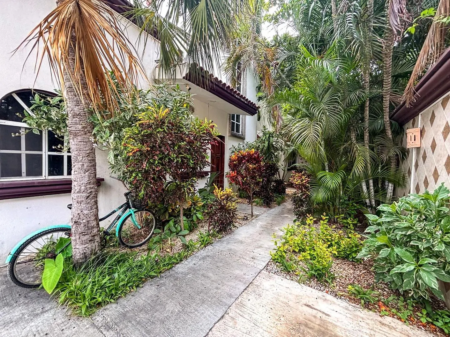 Spacious King Room Near Beach & Quinta 普拉亚卡门 0*,