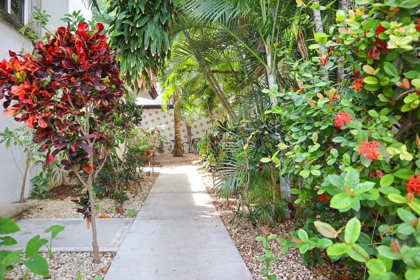 Spacious King Room Near Beach & Quinta Playa del Carmen 0*,  Messico