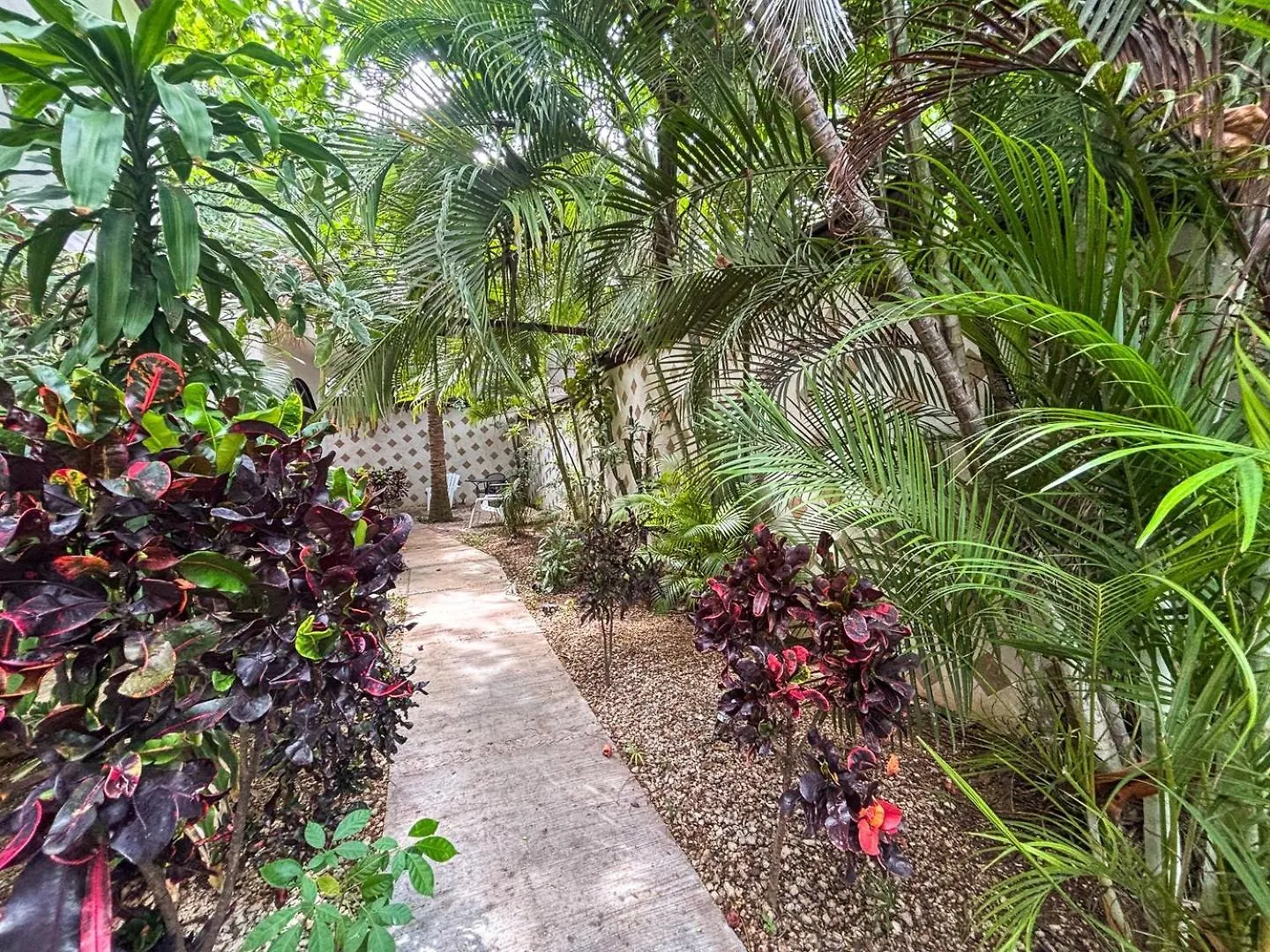 Appartamento Spacious King Room Near Beach & Quinta Playa del Carmen Messico